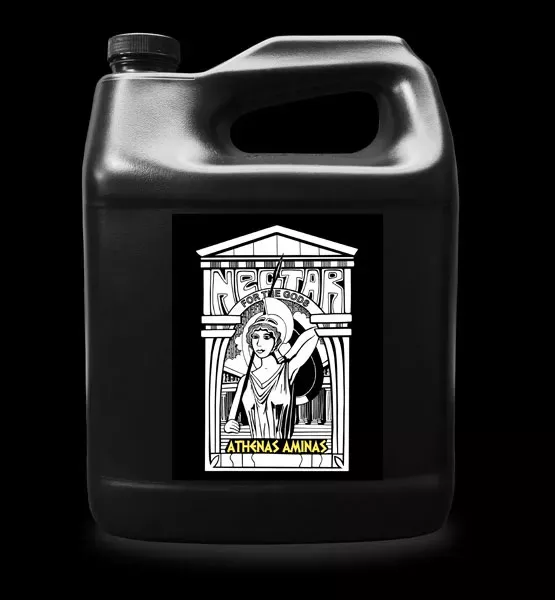 Athenas Aminas – gallon