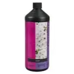 BCuzz Bloom Quart (12/Cs)