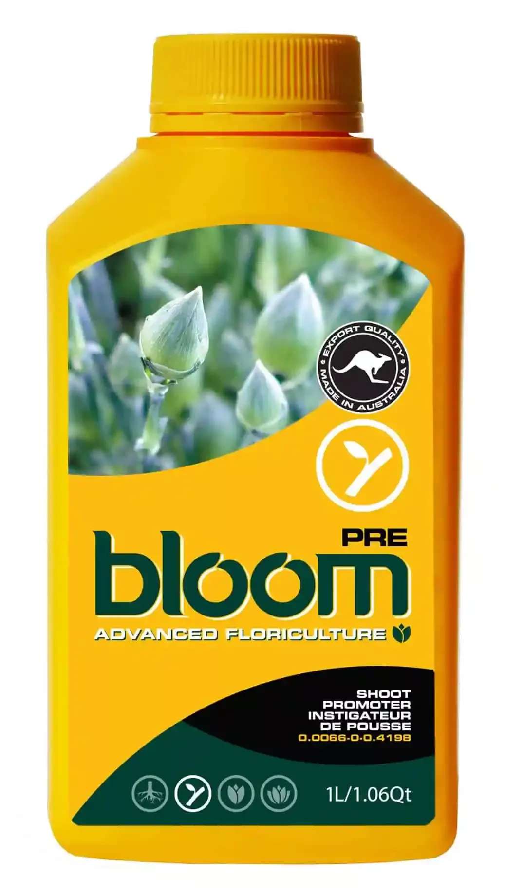Bloom Pre 1L