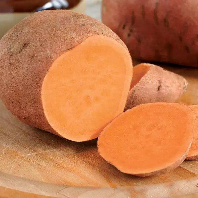 ’Centennial ’ Sweet Potato Slips