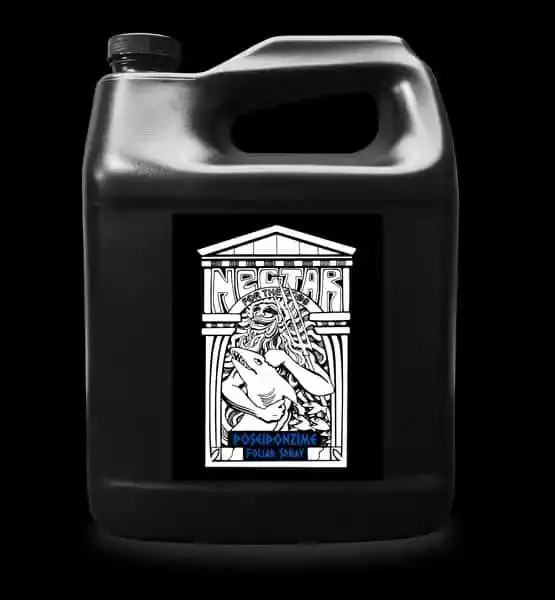 Poseidonzime Quart