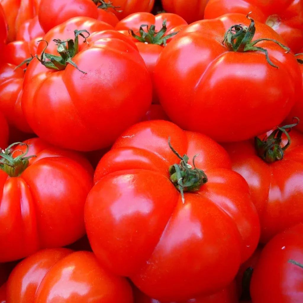 Red Brandywine Tomato Seeds