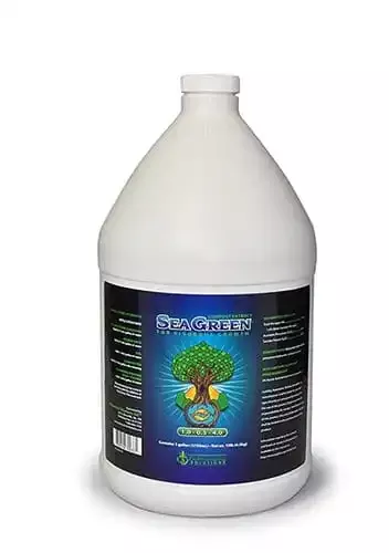 Sea Green 1 Gal