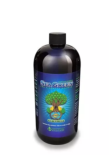 Sea Green 32oz