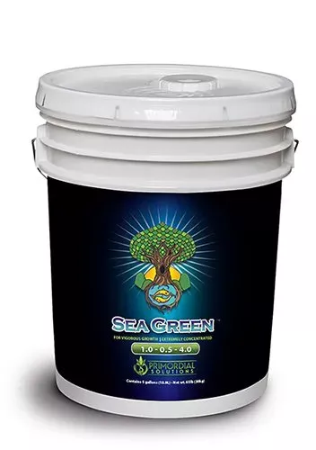Sea Green 5 Gal