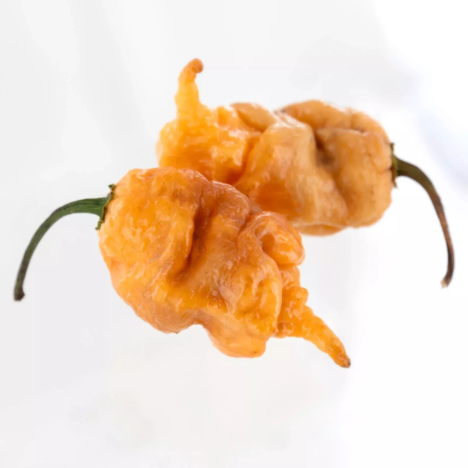 Thors Hammer Peach Pepper Seeds