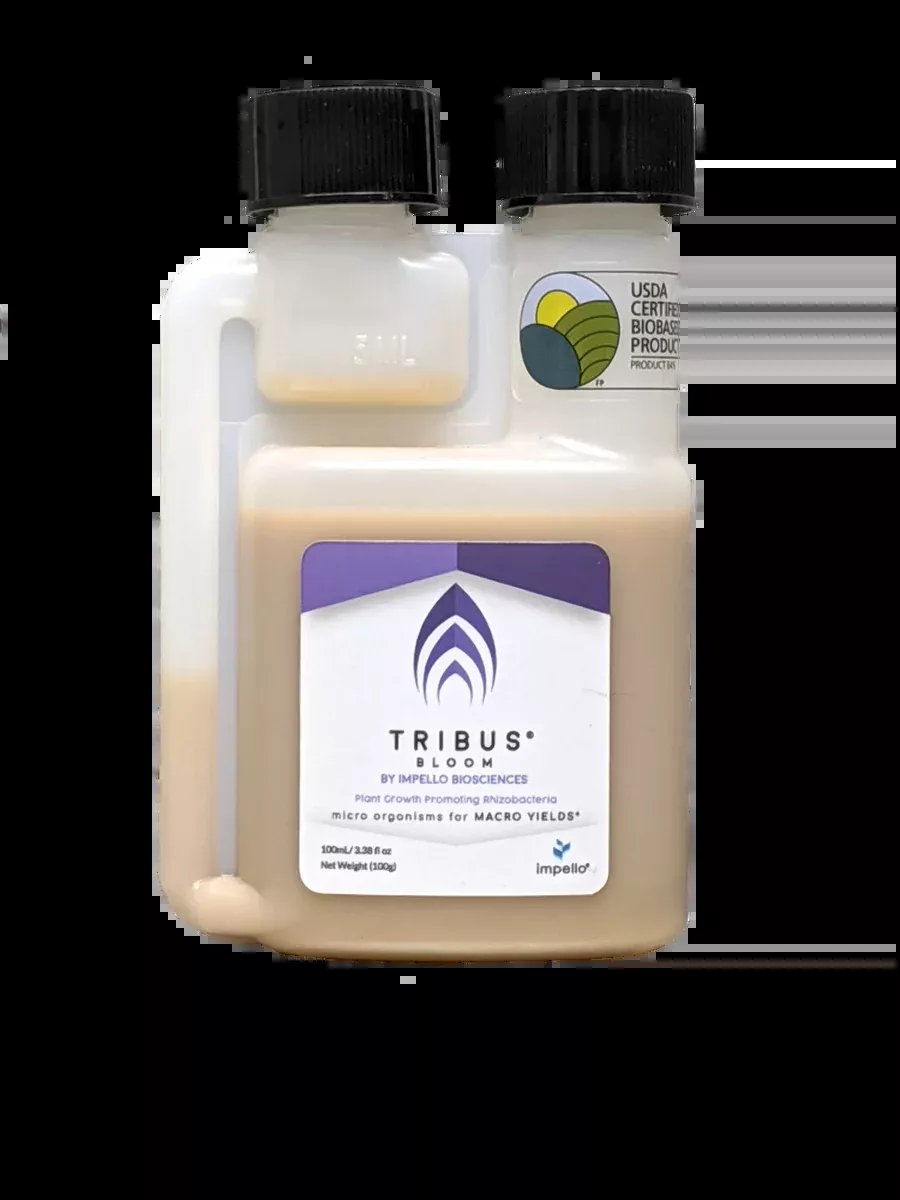 Tribus Bloom