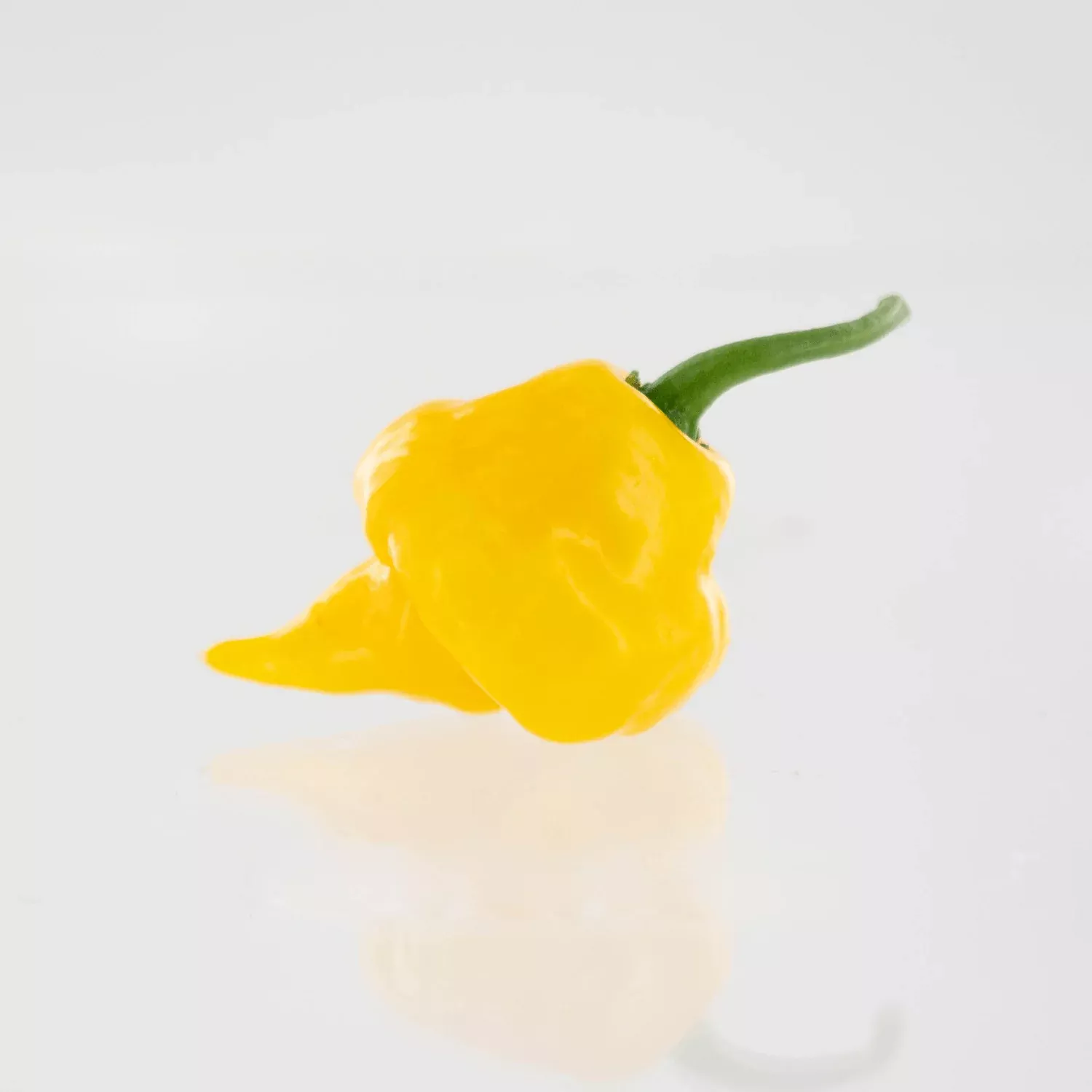 Trinidad Perfume Pepper Seeds