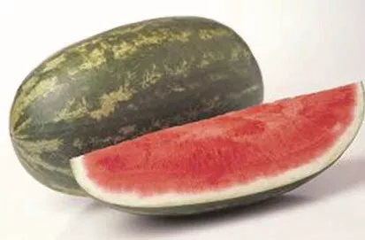 Watermelon, Revolution -Red Oblong