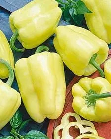 White Zinfandel F1 Pepper Seeds