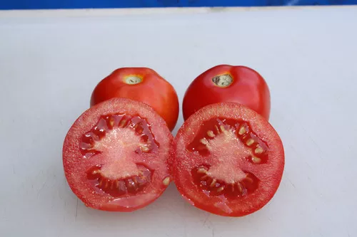 Zoreslav Tomato
