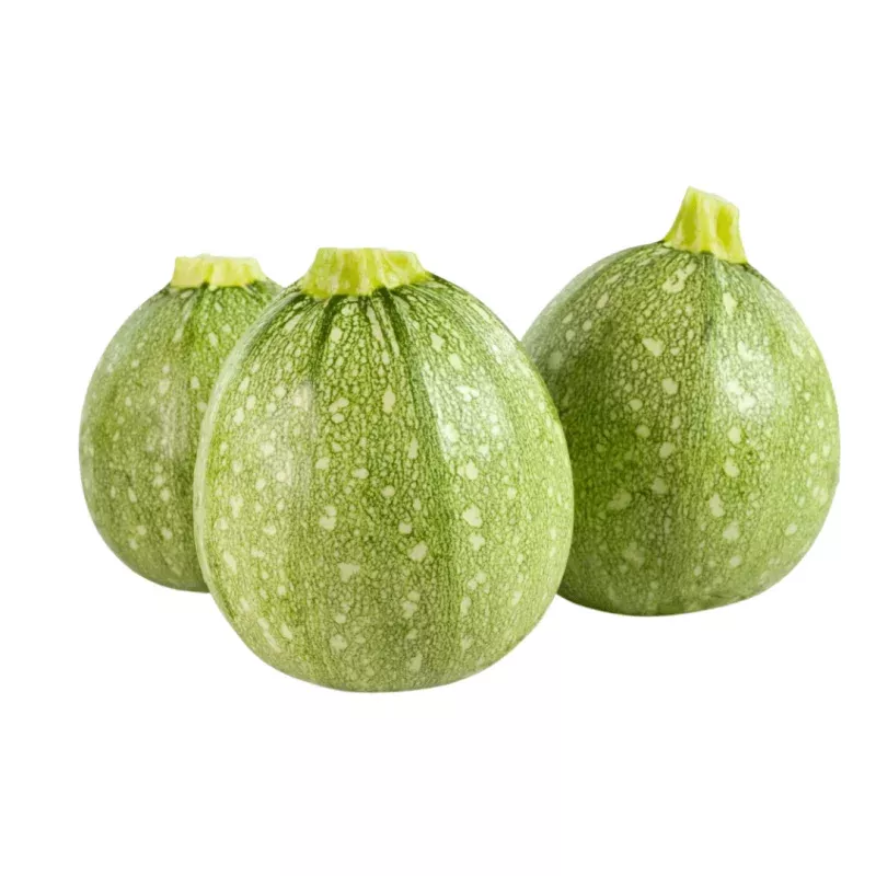 Zucchini Squash Cue Ball Seeds | West Coast Seeds