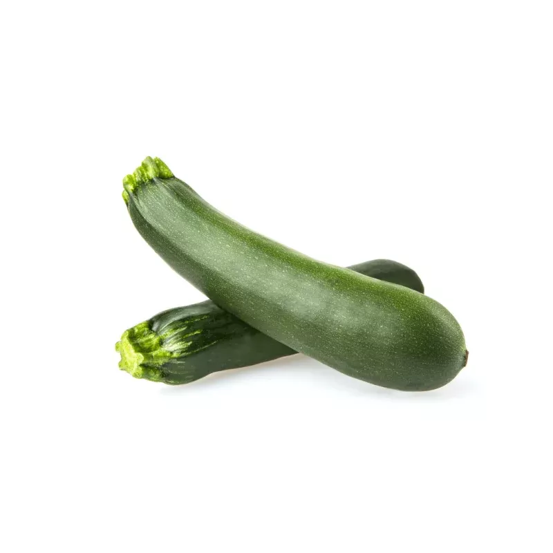 Zucchini Squash Dark Green Seeds | OSC Seeds